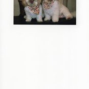 Carol Gleason's photo