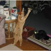 Paula Holden's photo