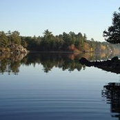 Jane Ott's photo