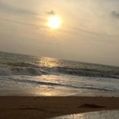 Binsagar Basheerさんの写真