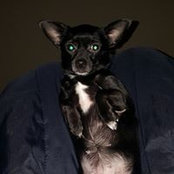 Amanda Makinen's photo