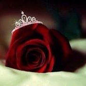 اميرة الورد's photo