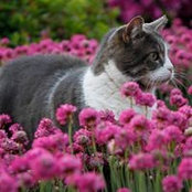 Donna Severson's photo