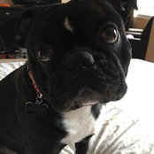 Catherine Dimla Lopez's photo