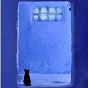 Foto von Azul Tornasol