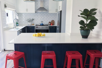 1960s kitchen photo in Other