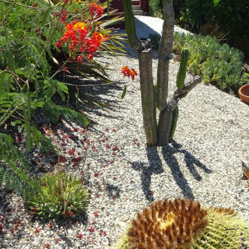 Drought Tolerant Landscapes