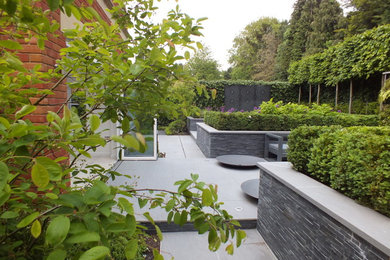 Inspiration for a mid-sized contemporary backyard formal garden in London with a container garden.