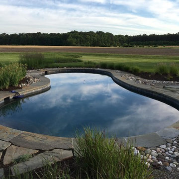 Traditional Style Full Landscape Design