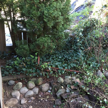 Coquitlam Project - BEFORE