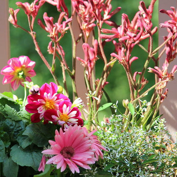 Summer Container Garden