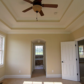 Trey ceiling in master suite