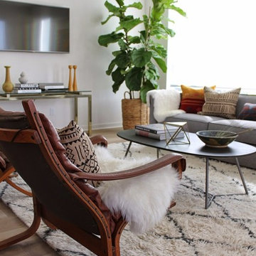 Modern Living Room with Moroccan Shag and Fiddle Leaf Fig