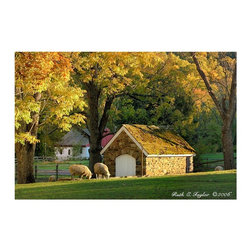 Autumn at Thompson Neely Farm - Products