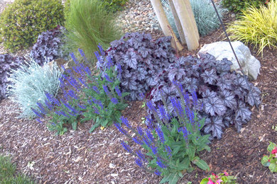 Design ideas for a small full sun front yard landscaping in Charlotte.