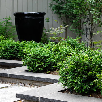 Urban Sanctuary