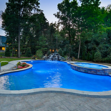 Naperville, IL Freeform Swimming Pool with Raised Hot Tub