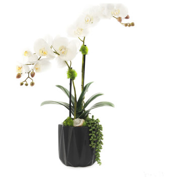Modern Cream White Faux Orchids Arrangement in Black Matte Ceramic Pot