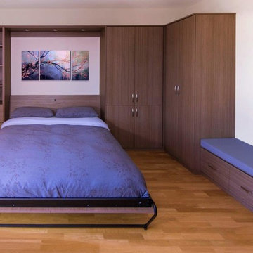 Wall Bed in Studio Space
