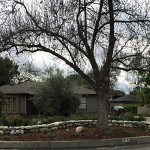 Landscape Contractors