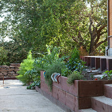 raised beds