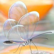 Piriya Sathanandakumar's photo