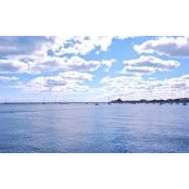 Ginny Chung's photo