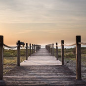 Holly Berfield's photo