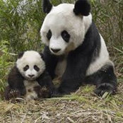 Deborah Dean's photo