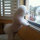 webuser_27812