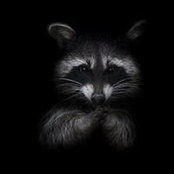 Pam Decuypere's photo