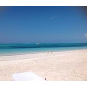 Dan Vecchia's photo