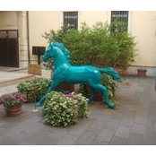Donato D'alonzo's photo