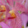 webuser_59028
