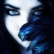 Carey Whitmore's photo