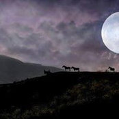 Lua Cheias foto