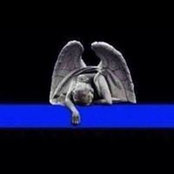 Samuel Pagel's photo