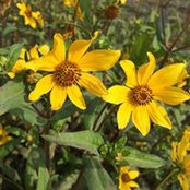 Carolyn Blackmon's photo