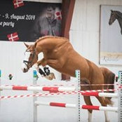Lars Fedders billede