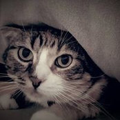 Ana Martinez's photo