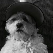 Minty Belile's photo