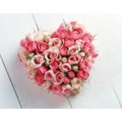 Daniela Cirillo's photo
