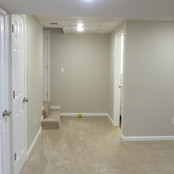 Basement Remodel