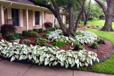 Design ideas for a traditional garden in Dallas.
