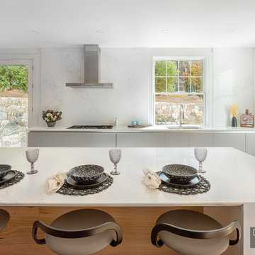 Clean, Modern Grey Kitchen in Lexington, MA
