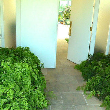 Contemporary Whimsey