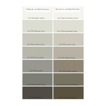 Paint Eider White