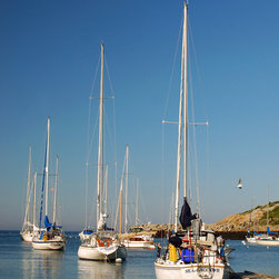 Sail Siesta - Artwork