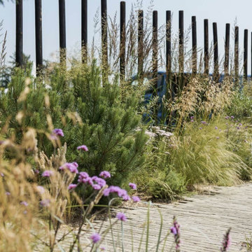 RHS Tatton Flower Show 2019