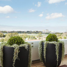 flower pots